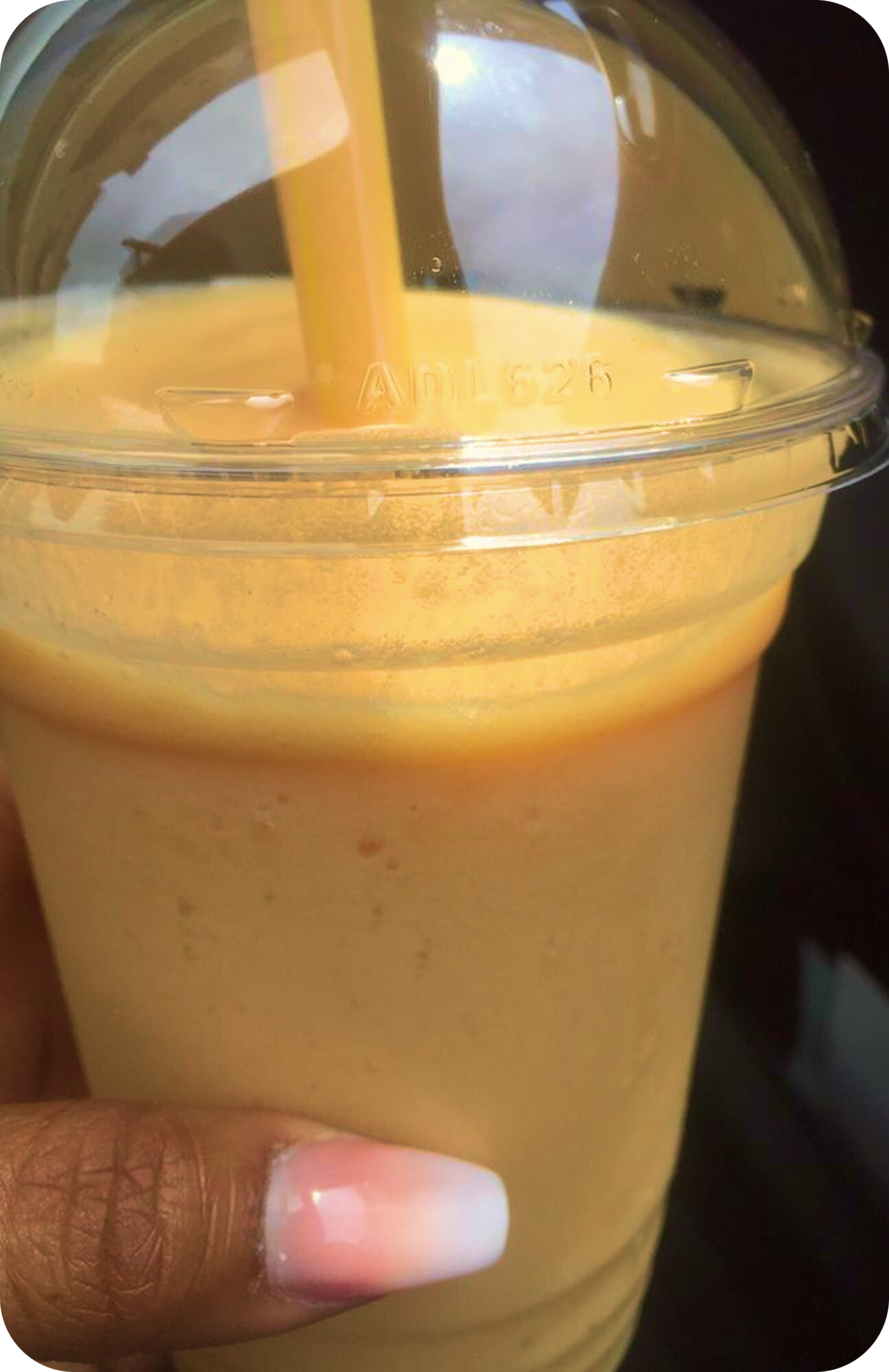 tropical shake 2 1